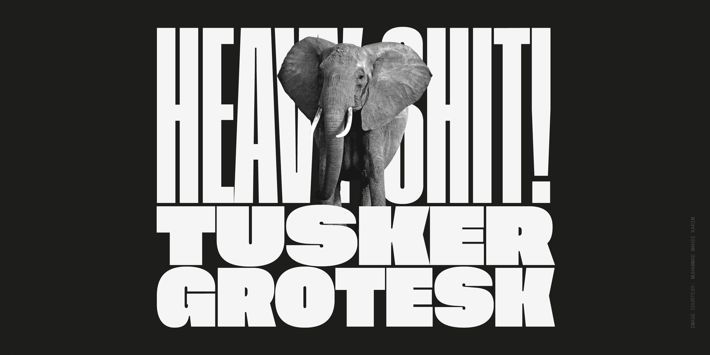 Przykład czcionki Tusker Grotesk